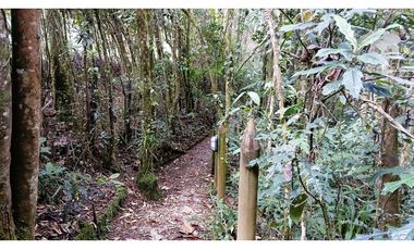 CP-542-Conjunto 7 Casas campestres-Santa Elena-V.El Cerro-S.Loma Verde