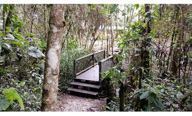 CP-542-Conjunto 7 Casas campestres-Santa Elena-V.El Cerro-S.Loma Verde