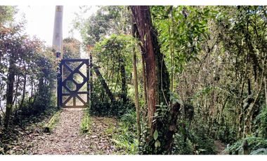 CP-542-Conjunto 7 Casas campestres-Santa Elena-V.El Cerro-S.Loma Verde