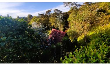 CP-542-Conjunto 7 Casas campestres-Santa Elena-V.El Cerro-S.Loma Verde