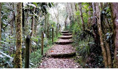 CP-542-Conjunto 7 Casas campestres-Santa Elena-V.El Cerro-S.Loma Verde