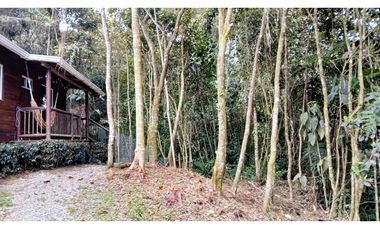 CP-542-Conjunto 7 Casas campestres-Santa Elena-V.El Cerro-S.Loma Verde