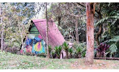 CP-542-Conjunto 7 Casas campestres-Santa Elena-V.El Cerro-S.Loma Verde