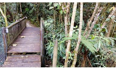 CP-542-Conjunto 7 Casas campestres-Santa Elena-V.El Cerro-S.Loma Verde