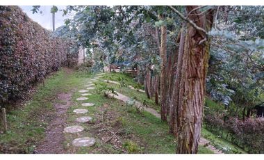 CP-542-Conjunto 7 Casas campestres-Santa Elena-V.El Cerro-S.Loma Verde