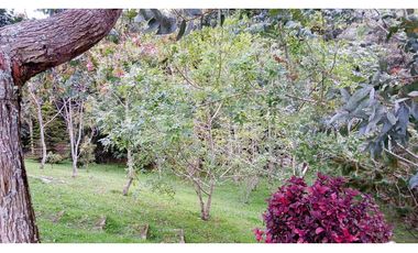 CP-542-Conjunto 7 Casas campestres-Santa Elena-V.El Cerro-S.Loma Verde