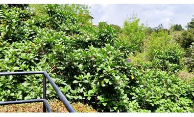 CP-542-Conjunto 7 Casas campestres-Santa Elena-V.El Cerro-S.Loma Verde