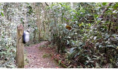 CP-542-Conjunto 7 Casas campestres-Santa Elena-V.El Cerro-S.Loma Verde