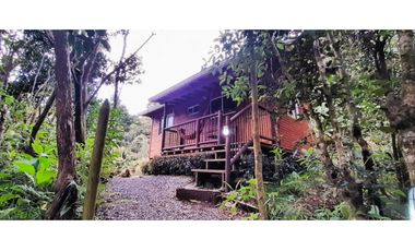 CP-542-Conjunto 7 Casas campestres-Santa Elena-V.El Cerro-S.Loma Verde