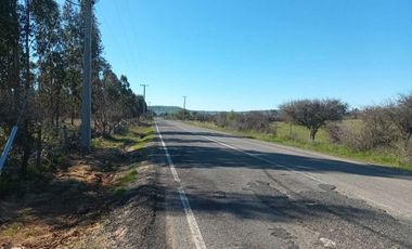 Parcela en venta en LITUECHE