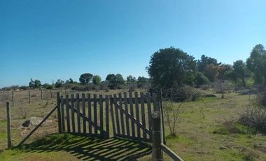 Parcela en venta en LITUECHE