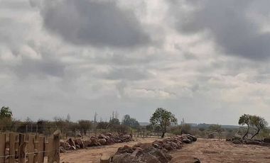 Parcela en venta en LITUECHE