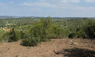 Parcela en venta en LAS CABRAS