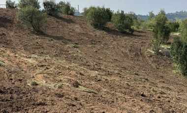 Parcela en venta en LAS CABRAS