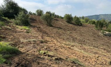 Parcela en venta en LAS CABRAS