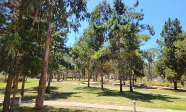 Departamento en venta  en ALGARROBO