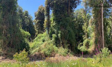 Parcela en Venta en Camino Ensenada, km 20, Fundo Arthur