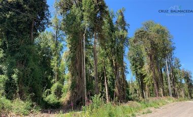 Parcela en Venta en Camino Ensenada, km 20, Fundo Arthur