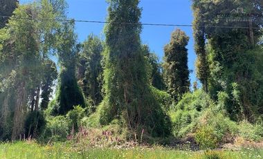 Parcela en Venta en Camino Ensenada, km 20, Fundo Arthur