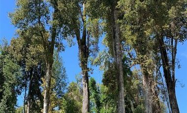 Parcela en Venta en Camino Ensenada, km 20, Fundo Arthur