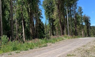 Parcela en Venta en Camino Ensenada, km 20, Fundo Arthur