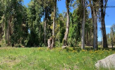 Parcela en Venta en Camino Ensenada, km 20, Fundo Arthur