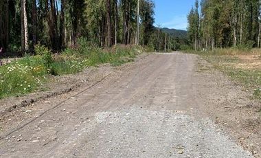 Parcela en Venta en Camino Ensenada, km 20, Fundo Arthur