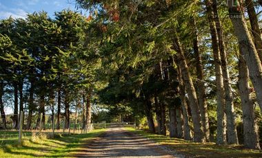 Parcela en Venta en Playa Venado
