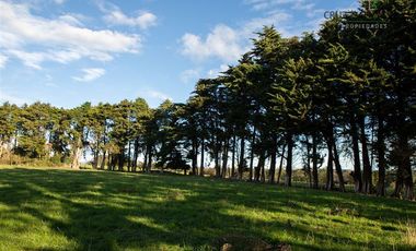 Parcela en Venta en Playa Venado
