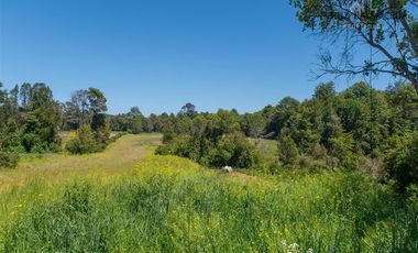 Agrícola en Venta en Reserva Santa Clara
