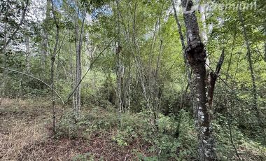 Casa en Venta en Camino Villarrica Loncoche sector Huellanto