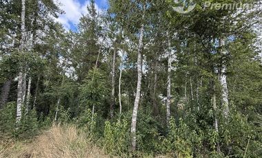 Casa en Venta en Camino Villarrica Loncoche sector Huellanto