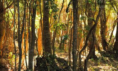 Parcela en Venta en Camino a Ensenada km 12 - Laguna La Poza
