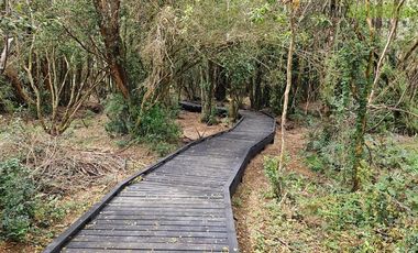 Parcela en Venta en Camino a Ensenada km 12 - Laguna La Poza