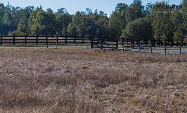 Parcela en Venta en Reserva Santa Clara, Línea Nueva