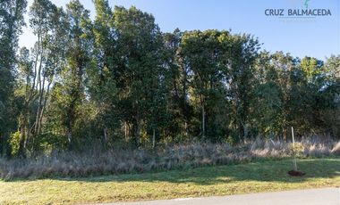 Parcela en Venta en Reserva Santa Clara II, Línea Nueva
