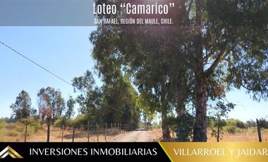 Parcela en Venta en Comuna de San Rafael Región del Maule