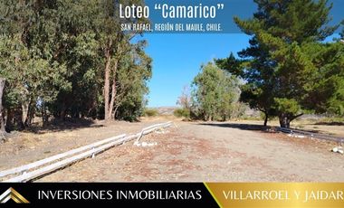 Parcela en Venta en Comuna de San Rafael Región del Maule