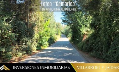 Parcela en Venta en Comuna de San Rafael Región del Maule