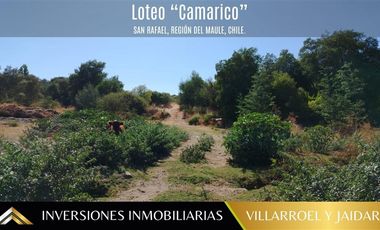 Parcela en Venta en Comuna de San Rafael Región del Maule