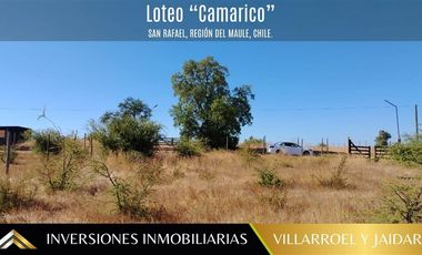 Parcela en Venta en Comuna de San Rafael Región del Maule