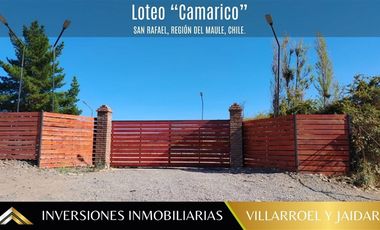 Parcela en Venta en Comuna de San Rafael Región del Maule