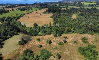 Agrícola en Venta en 22 hectareas a 20 minutos de Entrelagos y 15 minutos de la desembocadura del lago Rupanco