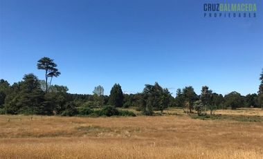 Agrícola en Venta en 22 hectareas a 20 minutos de Entrelagos y 15 minutos de la desembocadura del lago Rupanco