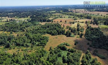 Agrícola en Venta en 22 hectareas a 20 minutos de Entrelagos y 15 minutos de la desembocadura del lago Rupanco
