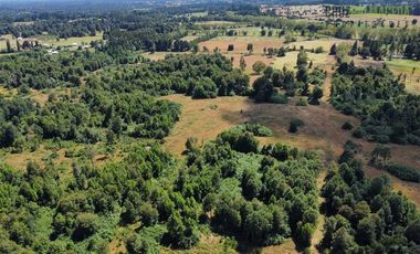 Agrícola en Venta en 22 hectareas a 20 minutos de Entrelagos y 15 minutos de la desembocadura del lago Rupanco