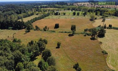 Agrícola en Venta en 22 hectareas a 20 minutos de Entrelagos y 15 minutos de la desembocadura del lago Rupanco