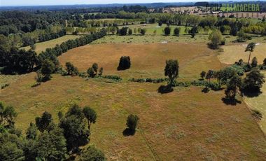 Agrícola en Venta en 22 hectareas a 20 minutos de Entrelagos y 15 minutos de la desembocadura del lago Rupanco