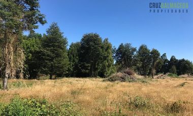 Agrícola en Venta en 22 hectareas a 20 minutos de Entrelagos y 15 minutos de la desembocadura del lago Rupanco