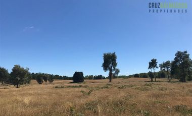 Agrícola en Venta en 22 hectareas a 20 minutos de Entrelagos y 15 minutos de la desembocadura del lago Rupanco